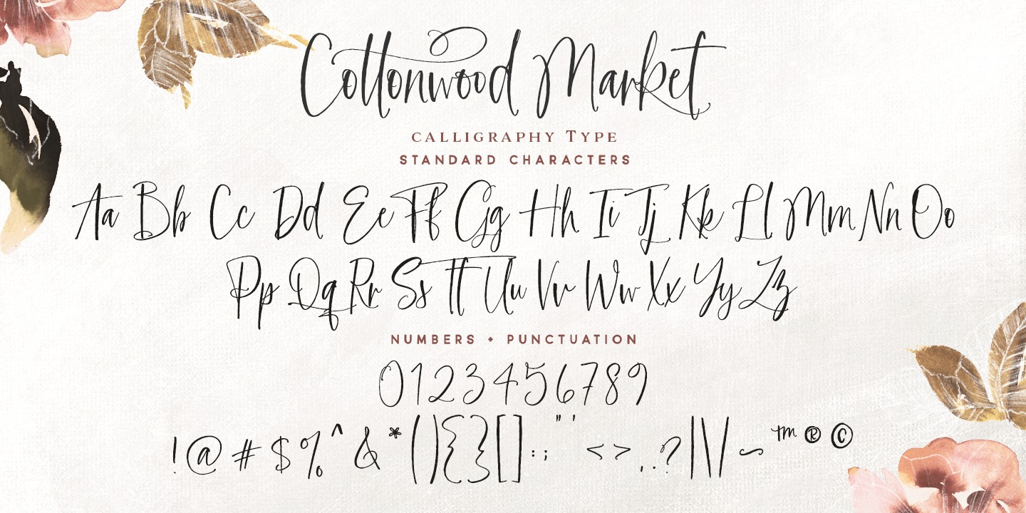 Beispiel einer Cottonwood Market Regular-Schriftart